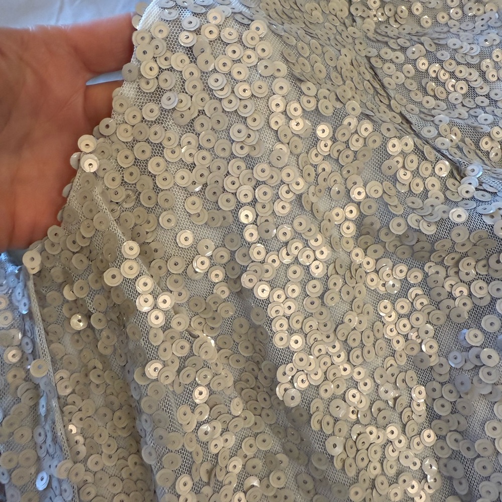 Allison Joy gray sequin top. Size L. - Picture 5 of 10